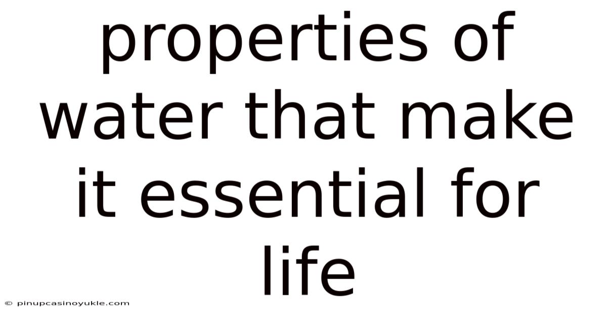 Properties Of Water That Make It Essential For Life