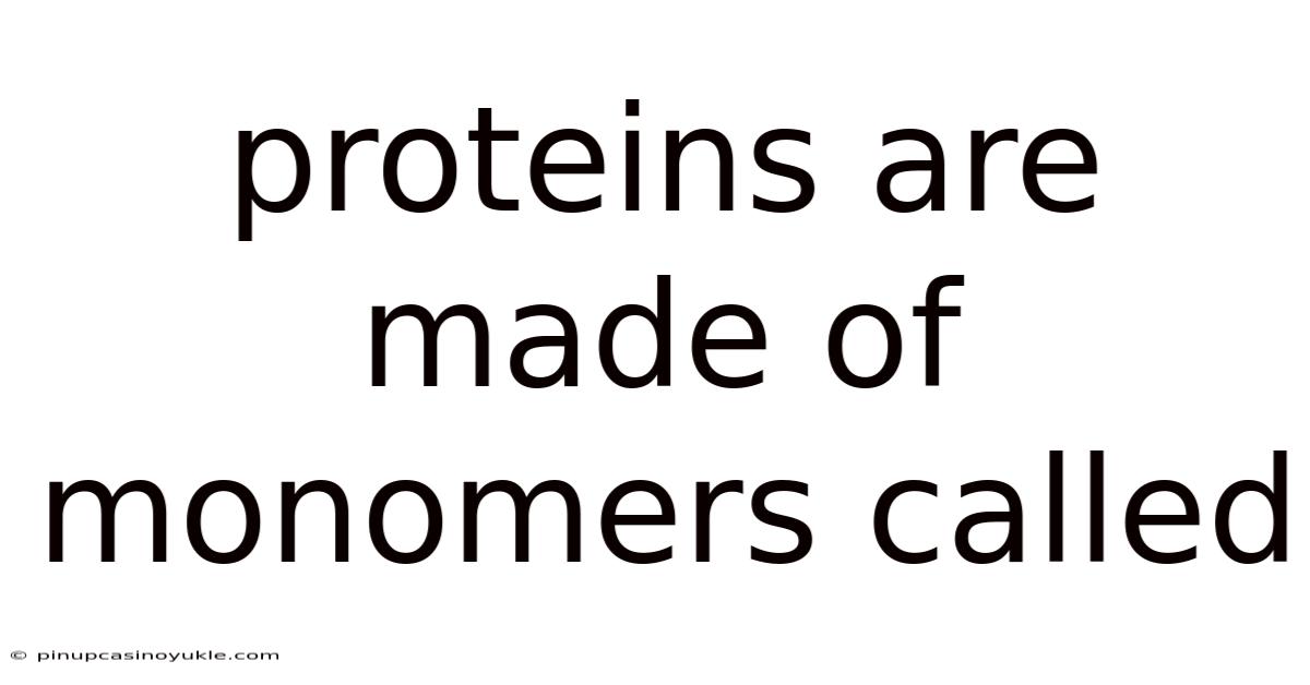Proteins Are Made Of Monomers Called