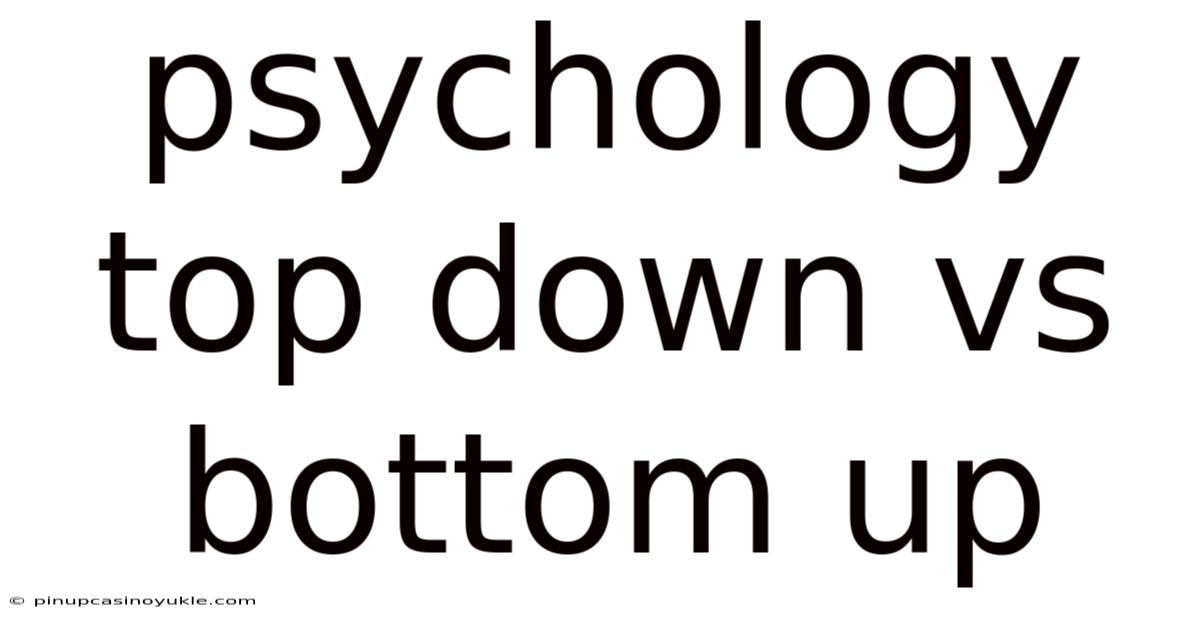 Psychology Top Down Vs Bottom Up