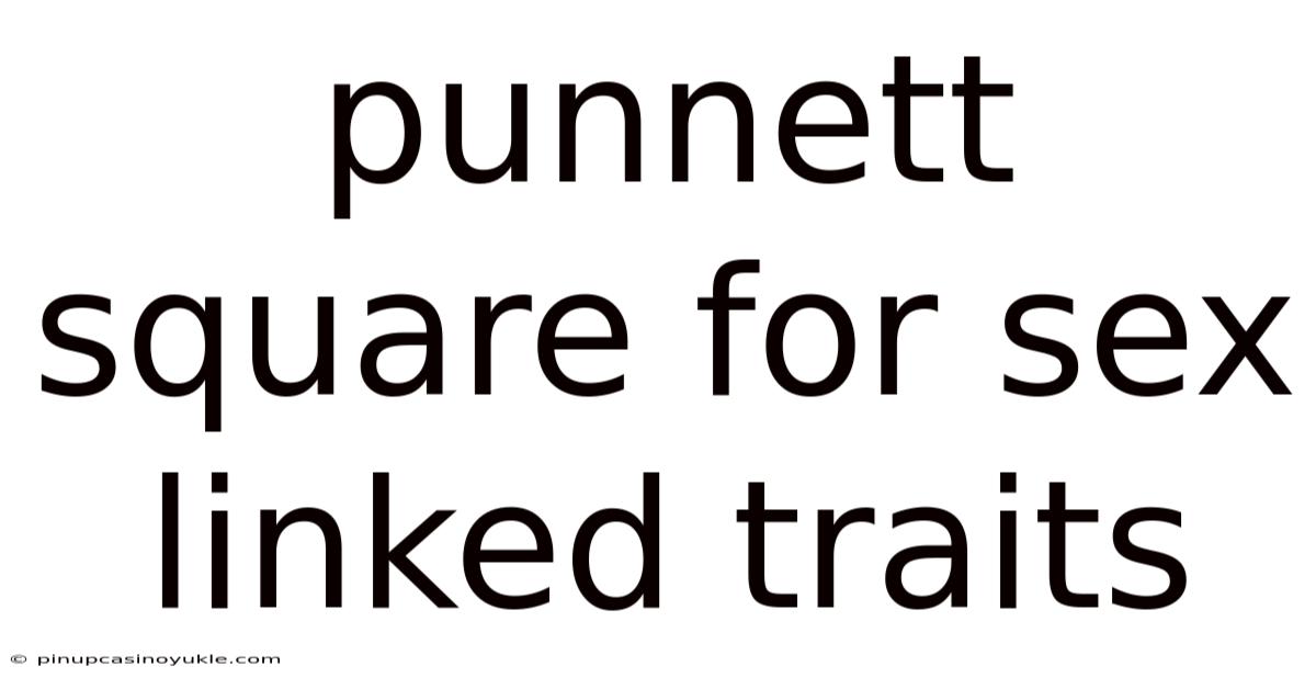 Punnett Square For Sex Linked Traits
