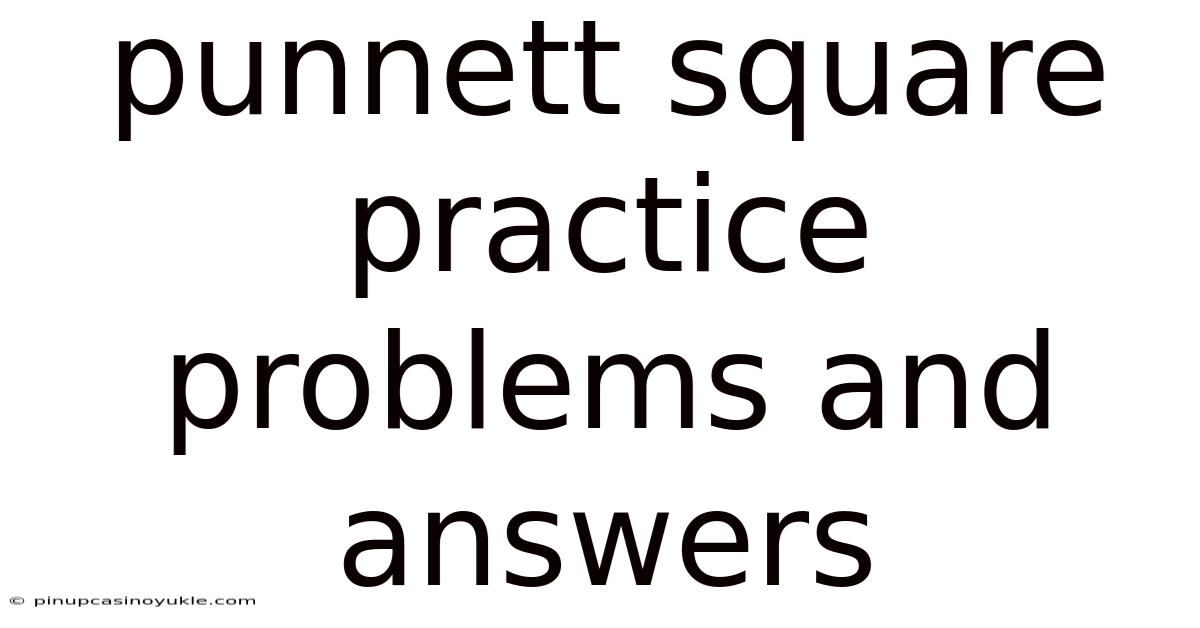 Punnett Square Practice Problems And Answers