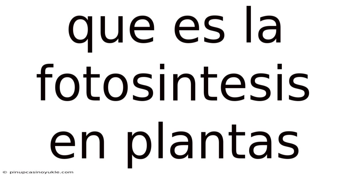 Que Es La Fotosintesis En Plantas