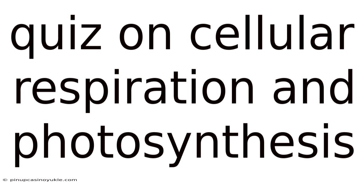 Quiz On Cellular Respiration And Photosynthesis