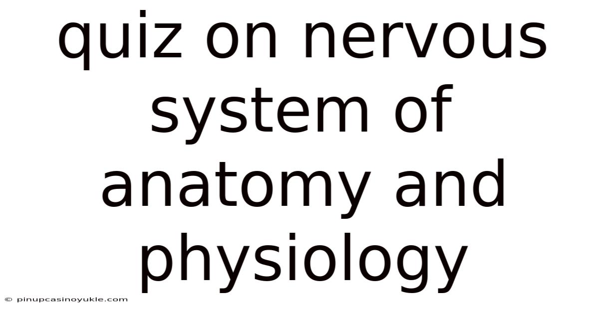 Quiz On Nervous System Of Anatomy And Physiology