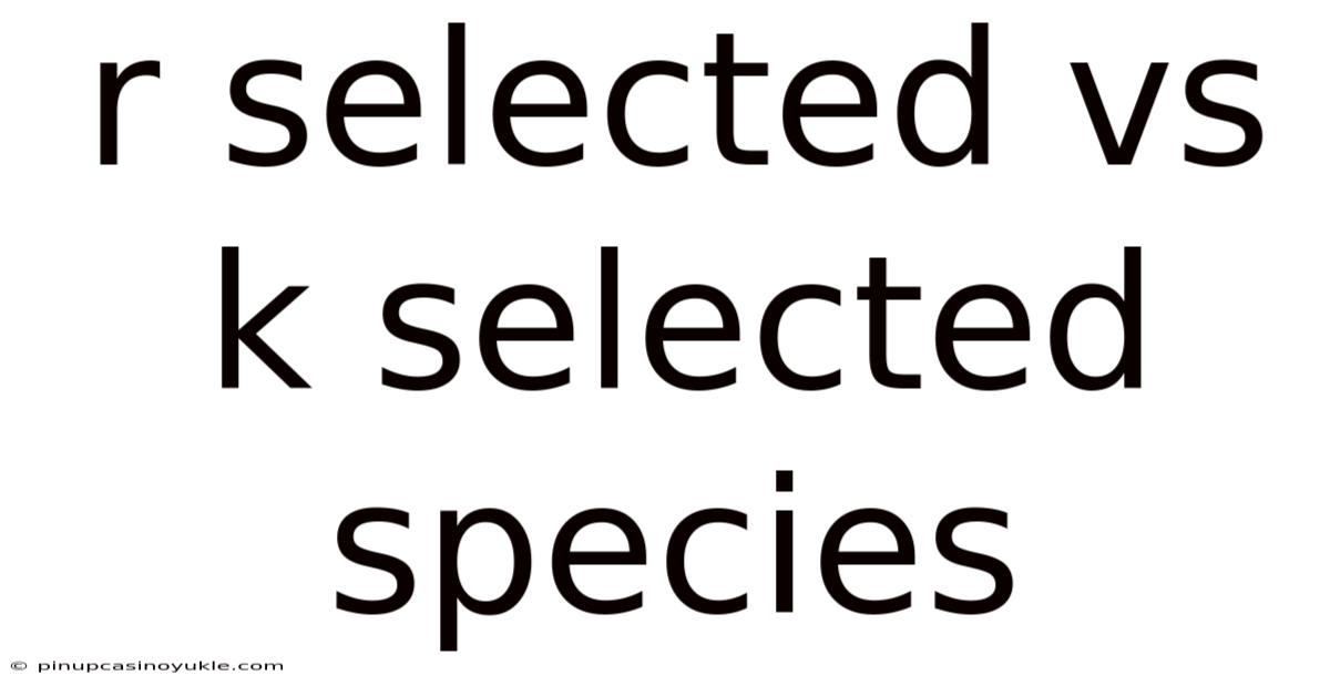R Selected Vs K Selected Species