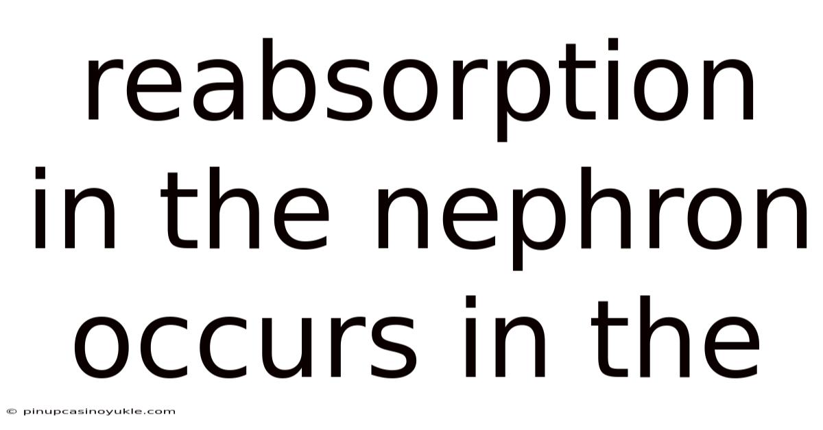 Reabsorption In The Nephron Occurs In The