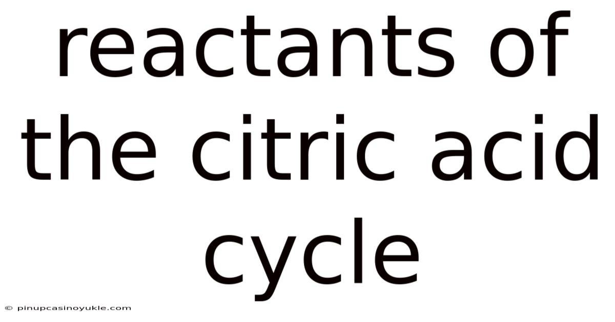Reactants Of The Citric Acid Cycle