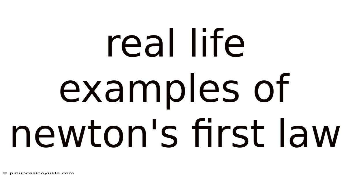 Real Life Examples Of Newton's First Law