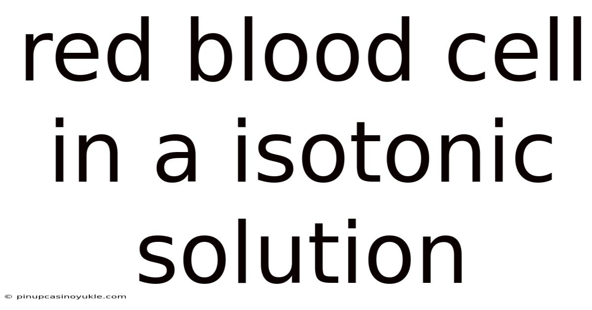 Red Blood Cell In A Isotonic Solution