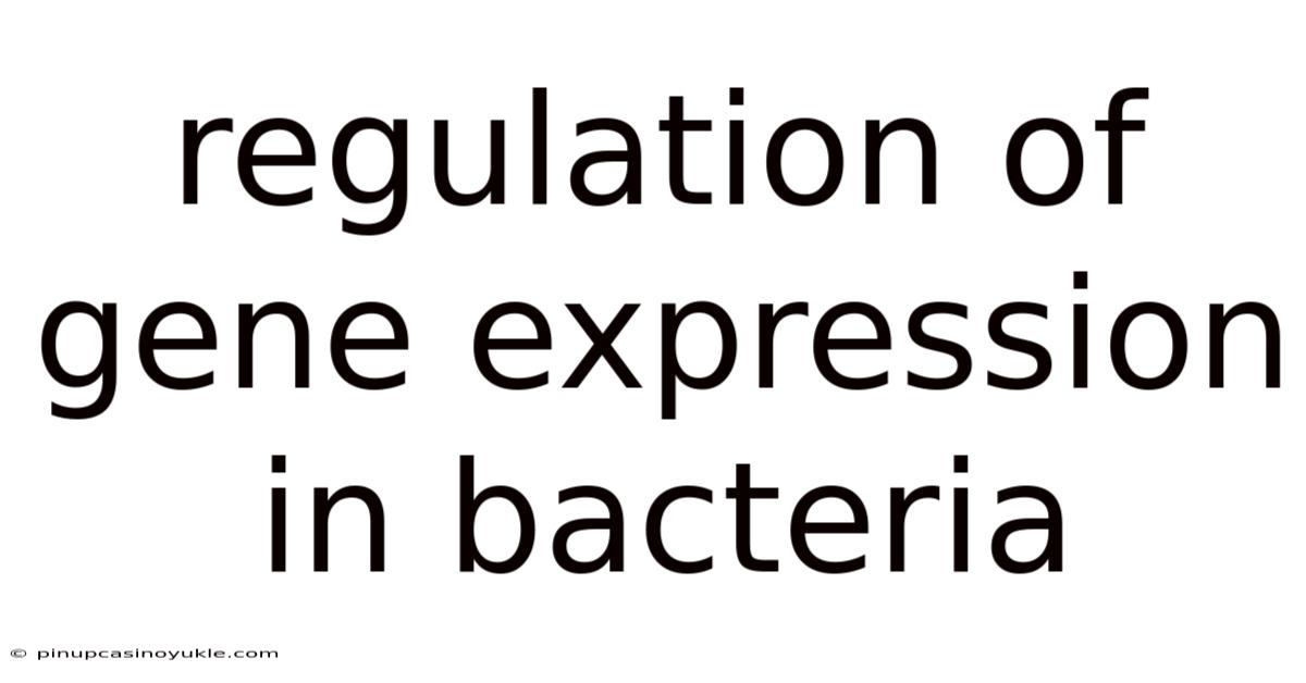 Regulation Of Gene Expression In Bacteria