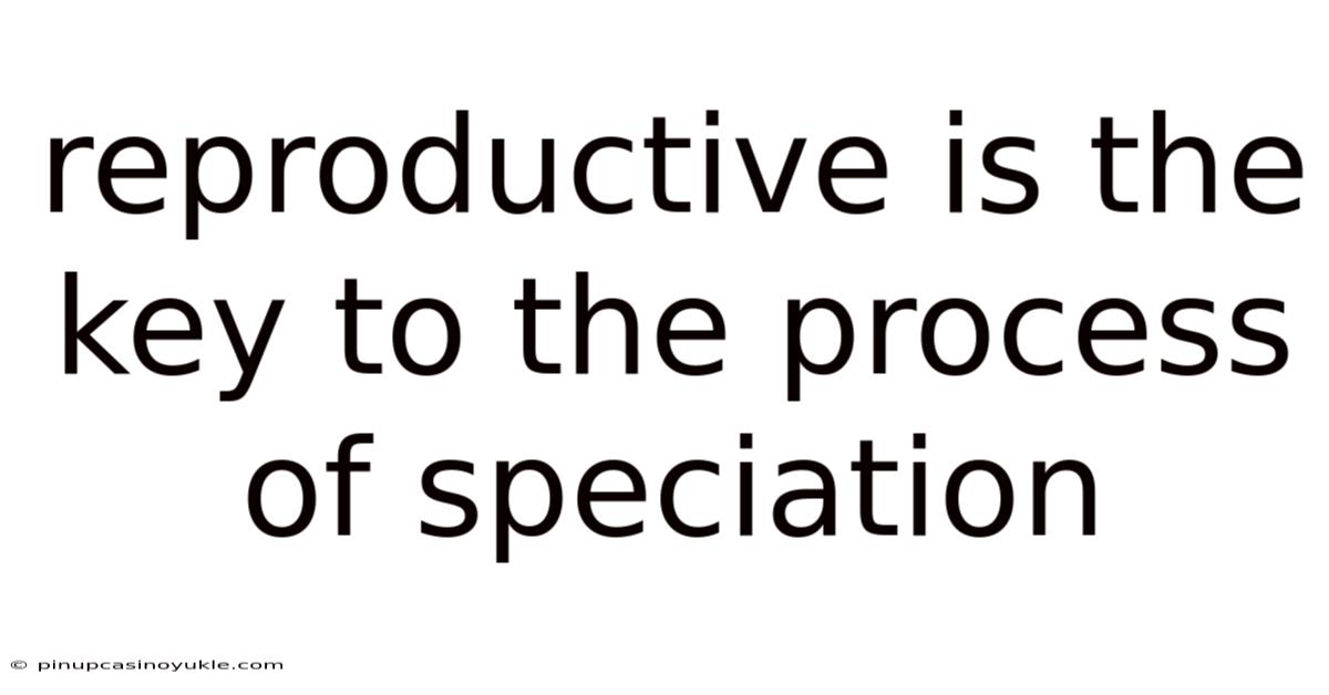 Reproductive Is The Key To The Process Of Speciation