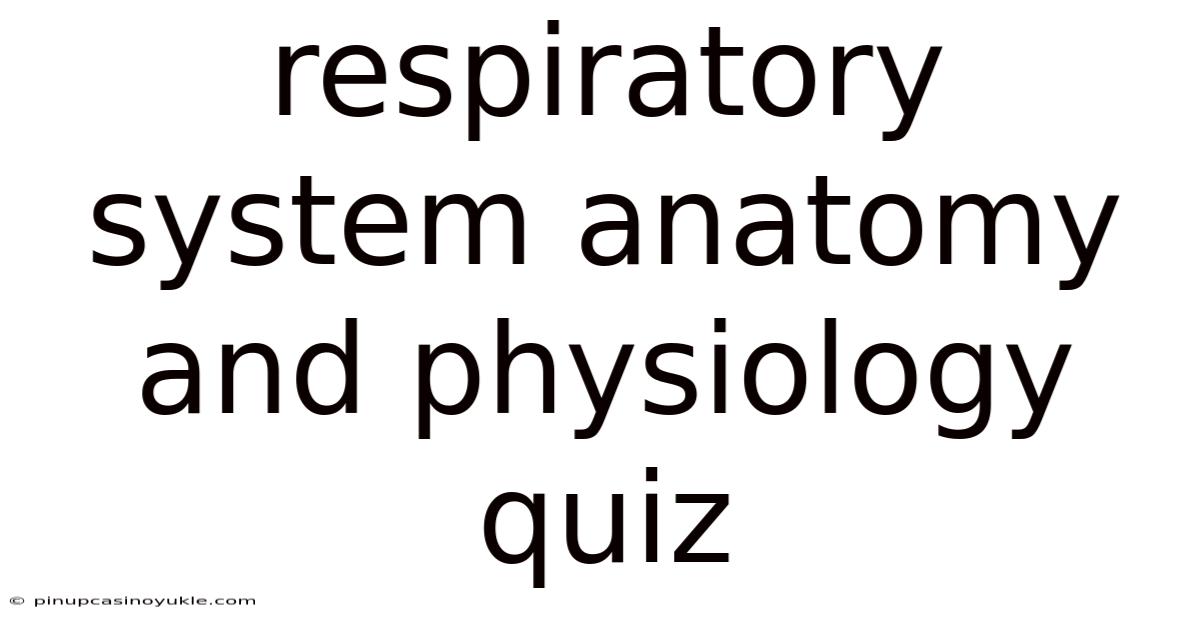 Respiratory System Anatomy And Physiology Quiz
