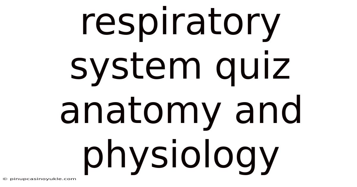 Respiratory System Quiz Anatomy And Physiology