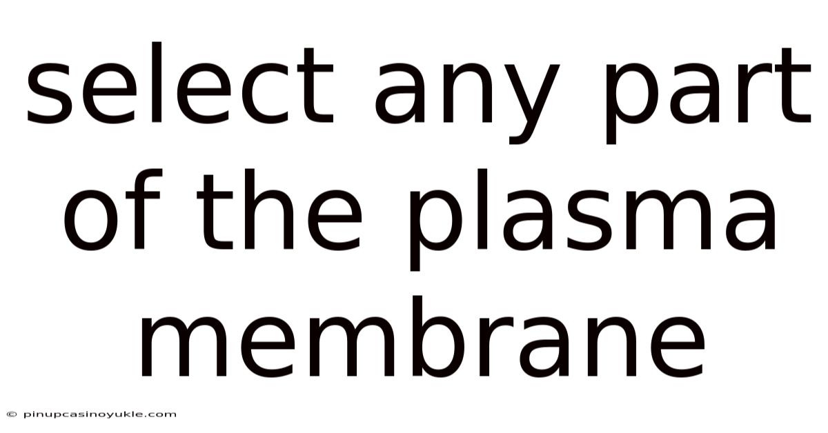 Select Any Part Of The Plasma Membrane