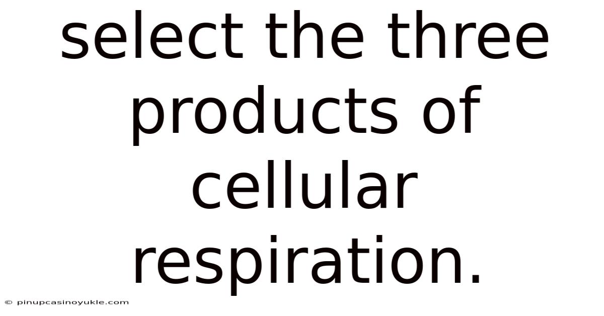 Select The Three Products Of Cellular Respiration.