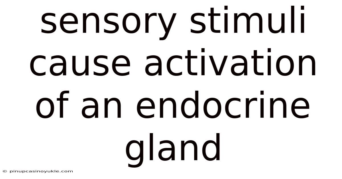 Sensory Stimuli Cause Activation Of An Endocrine Gland