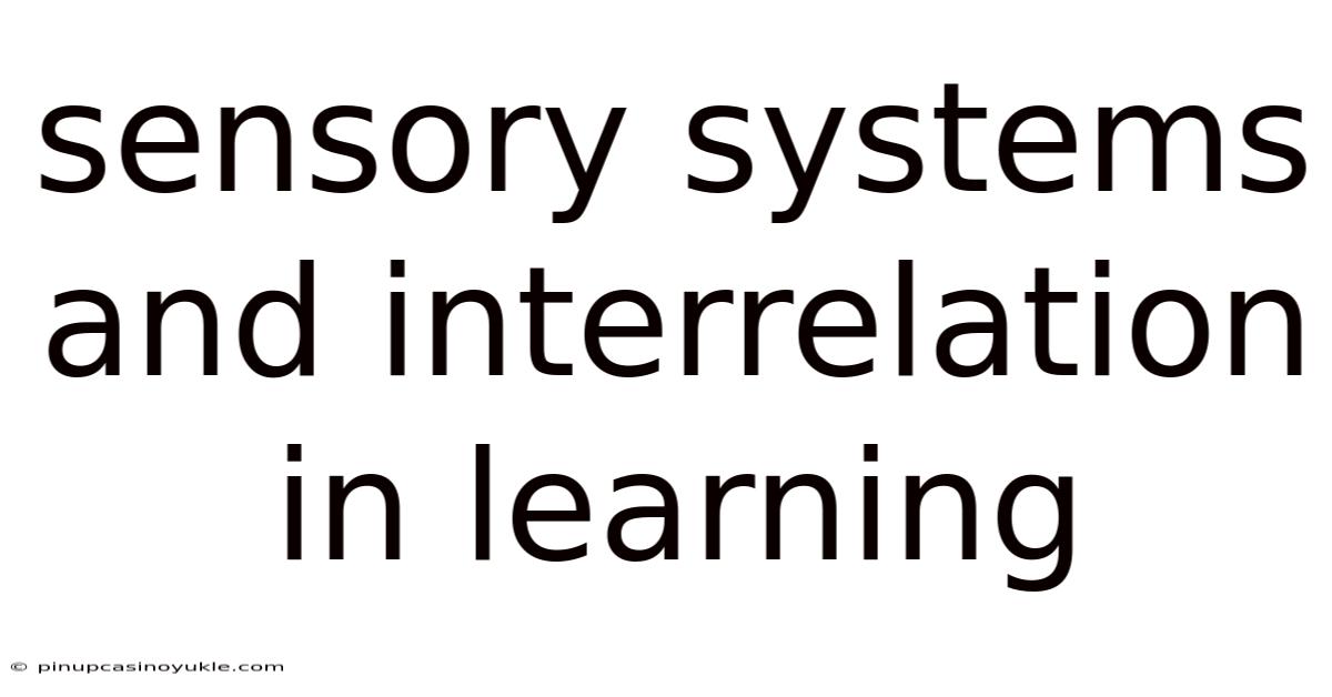 Sensory Systems And Interrelation In Learning