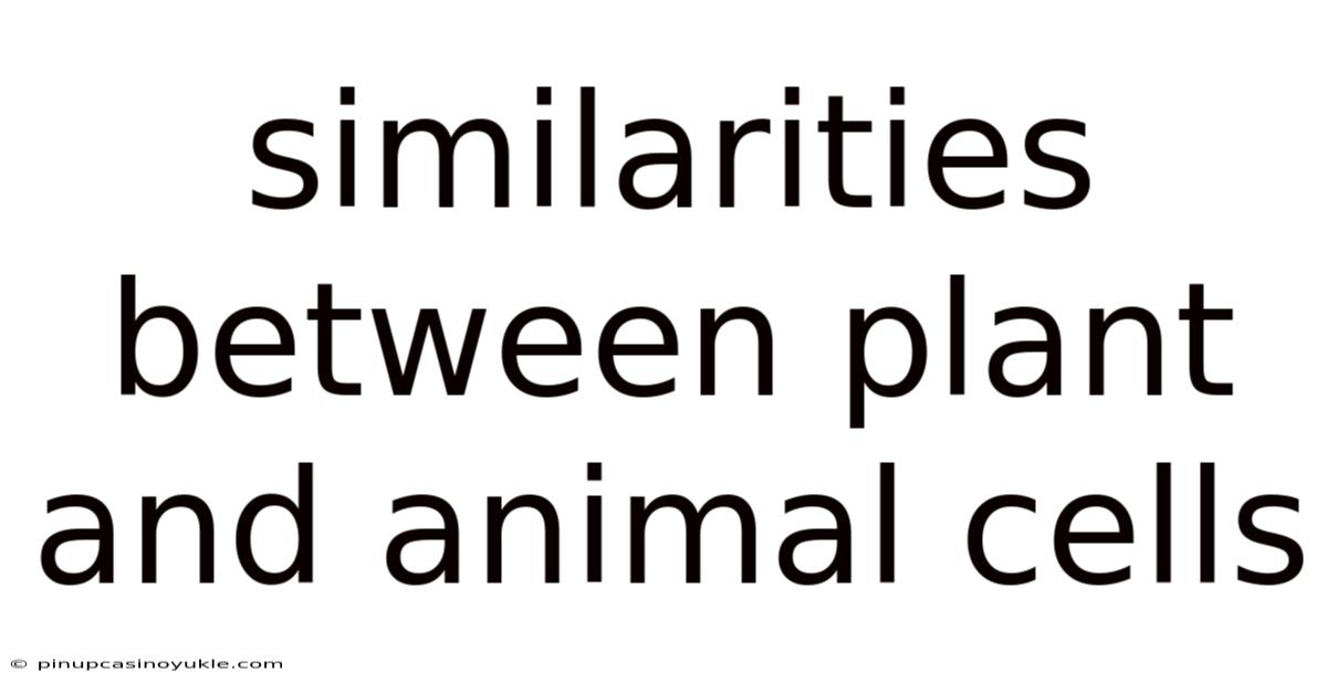 Similarities Between Plant And Animal Cells