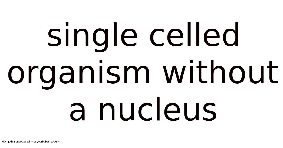 Single Celled Organism Without A Nucleus
