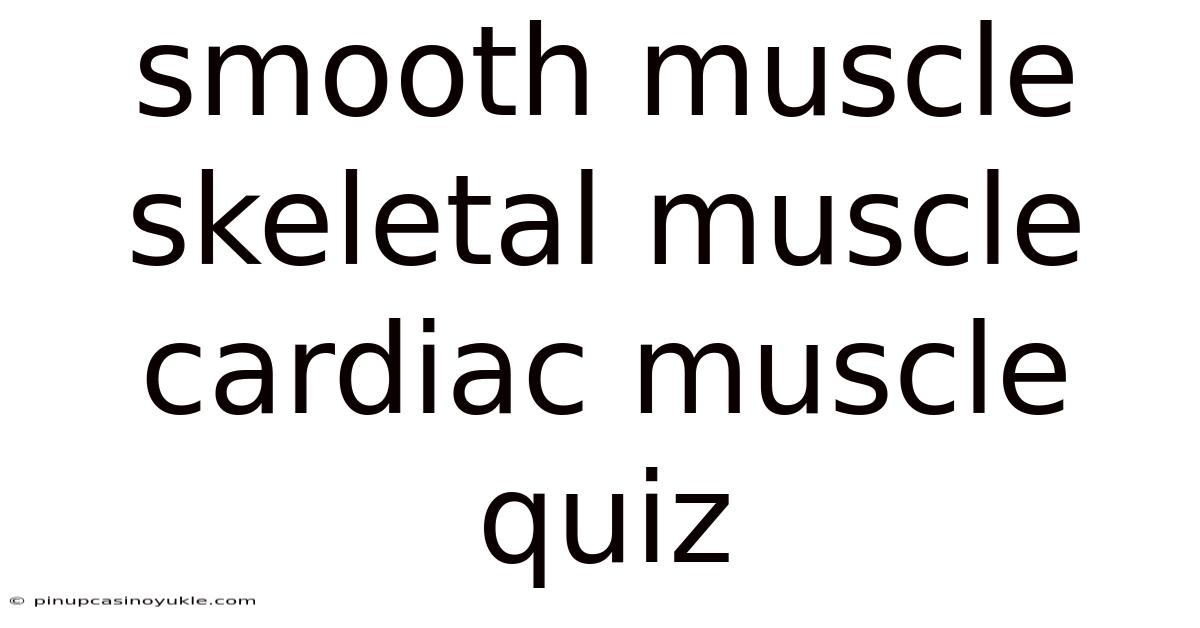 Smooth Muscle Skeletal Muscle Cardiac Muscle Quiz