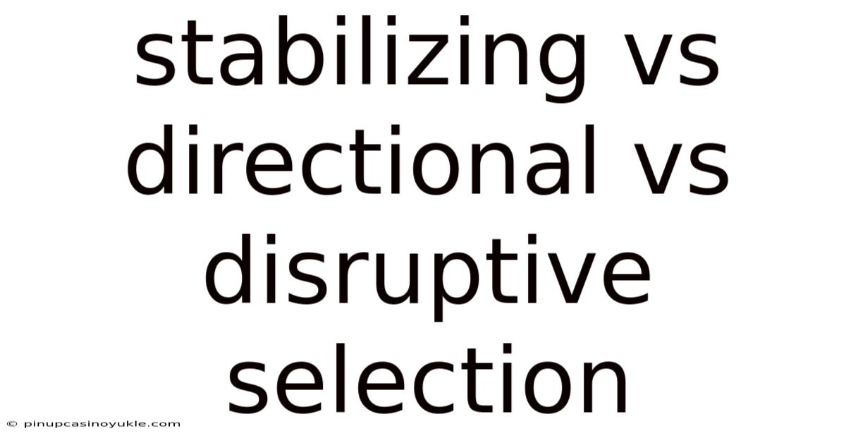 Stabilizing Vs Directional Vs Disruptive Selection
