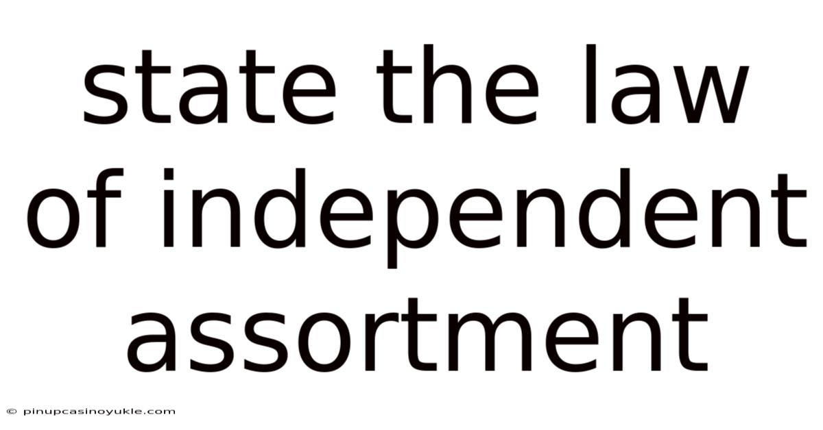 State The Law Of Independent Assortment