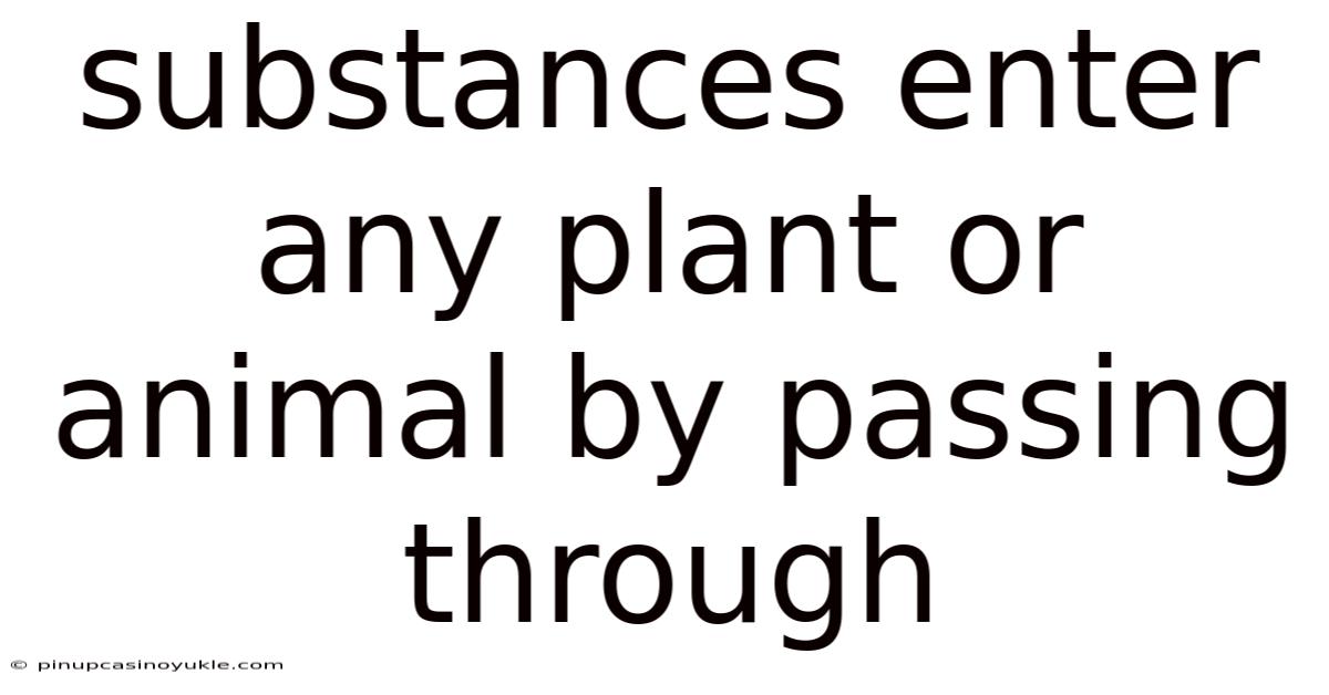 Substances Enter Any Plant Or Animal By Passing Through
