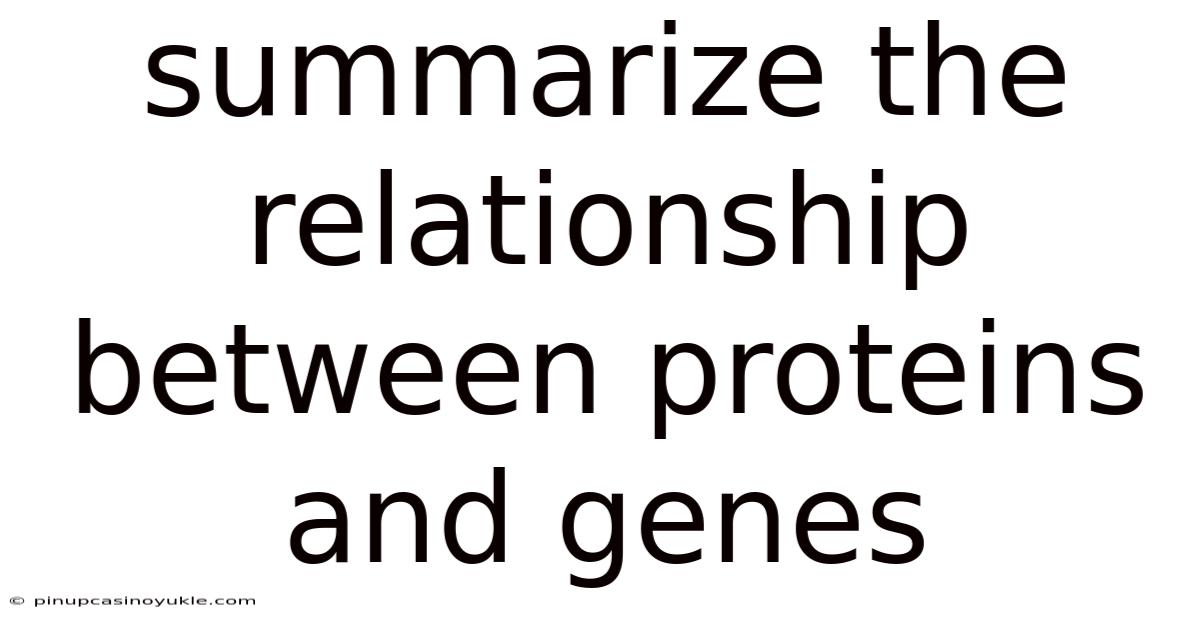 Summarize The Relationship Between Proteins And Genes