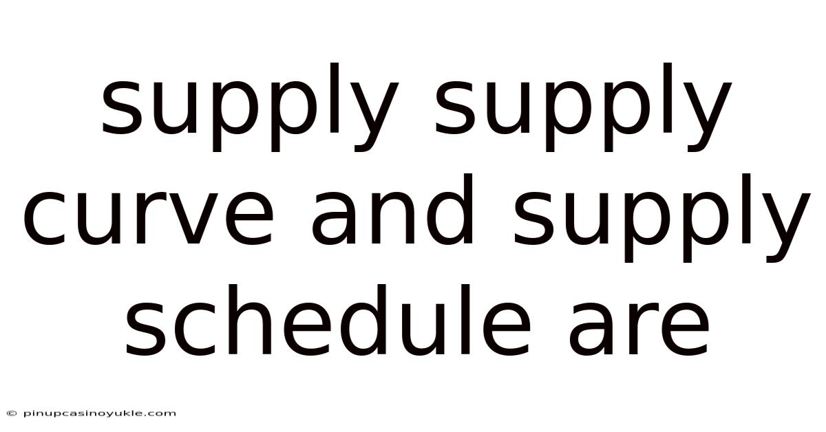 Supply Supply Curve And Supply Schedule Are