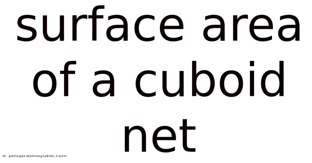 Surface Area Of A Cuboid Net