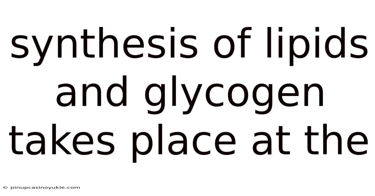 Synthesis Of Lipids And Glycogen Takes Place At The