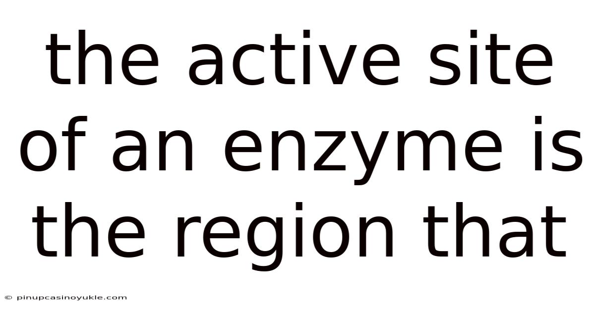 The Active Site Of An Enzyme Is The Region That