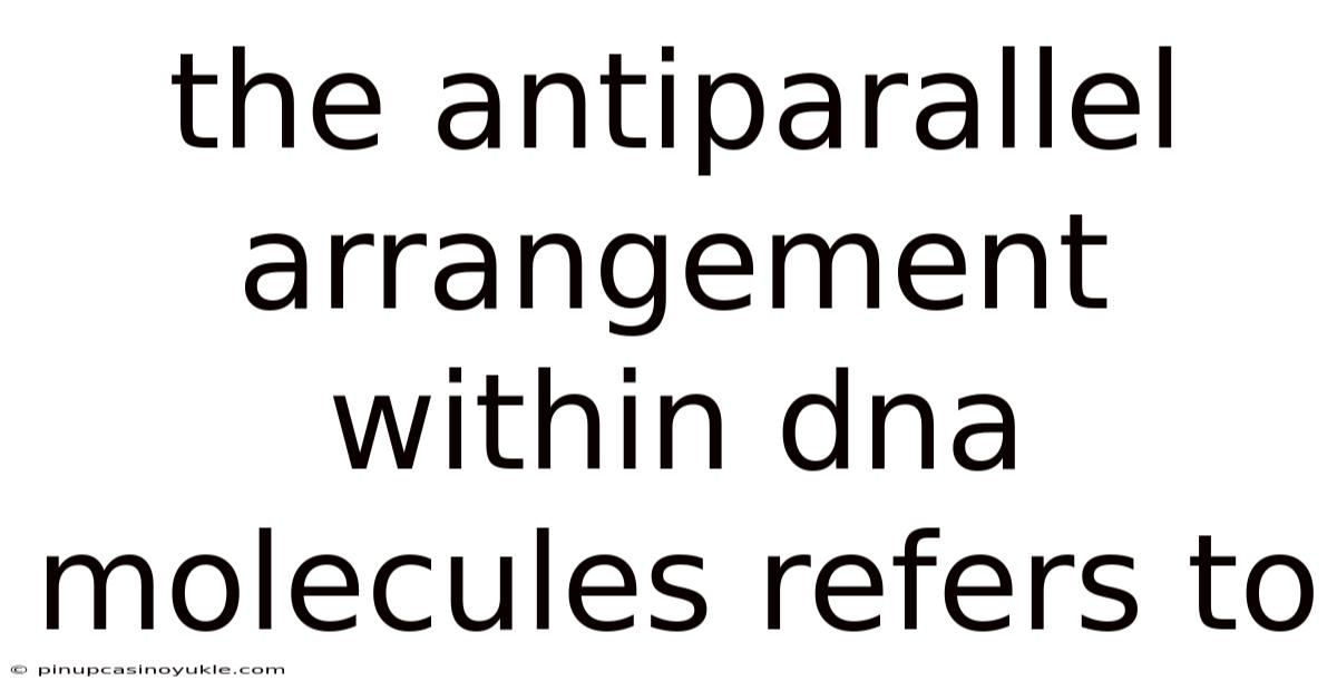 The Antiparallel Arrangement Within Dna Molecules Refers To