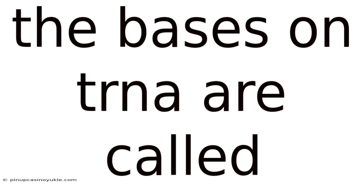 The Bases On Trna Are Called