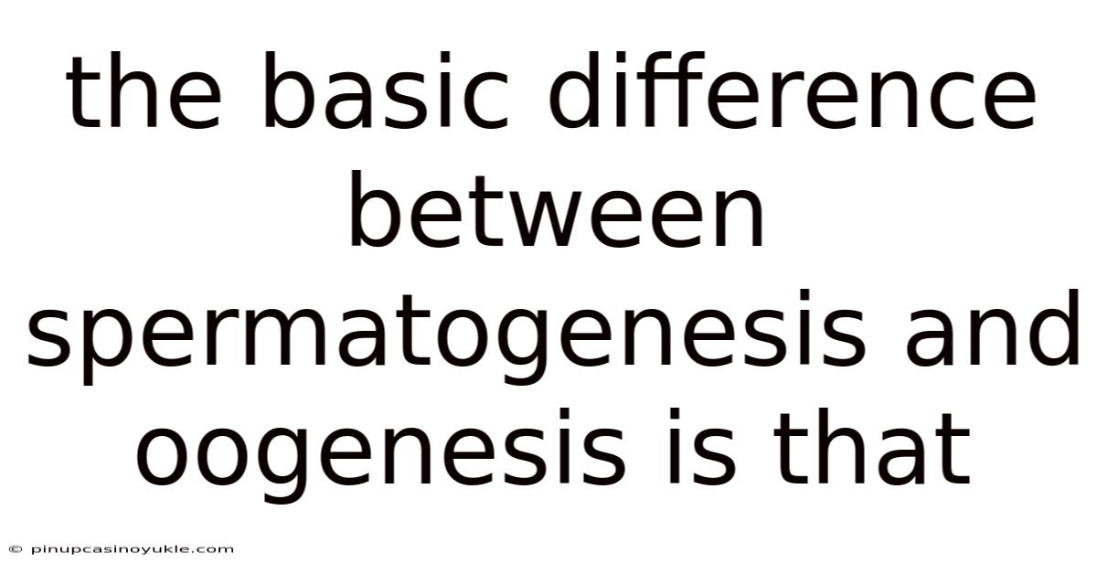 The Basic Difference Between Spermatogenesis And Oogenesis Is That
