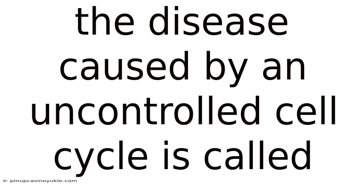 The Disease Caused By An Uncontrolled Cell Cycle Is Called
