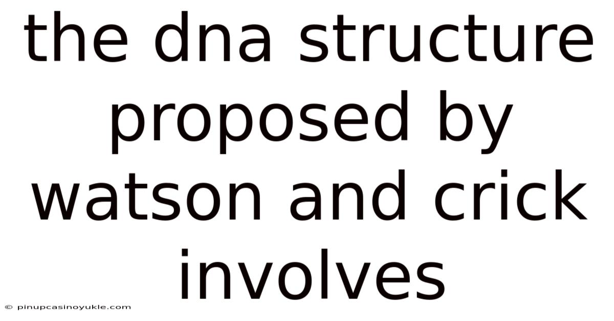 The Dna Structure Proposed By Watson And Crick Involves