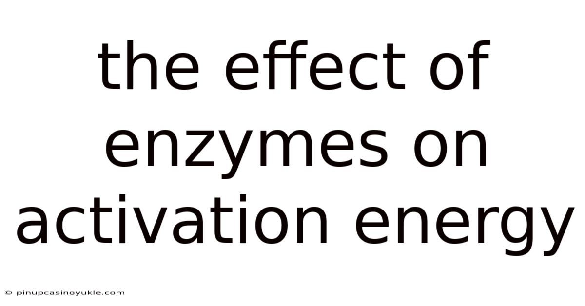 The Effect Of Enzymes On Activation Energy