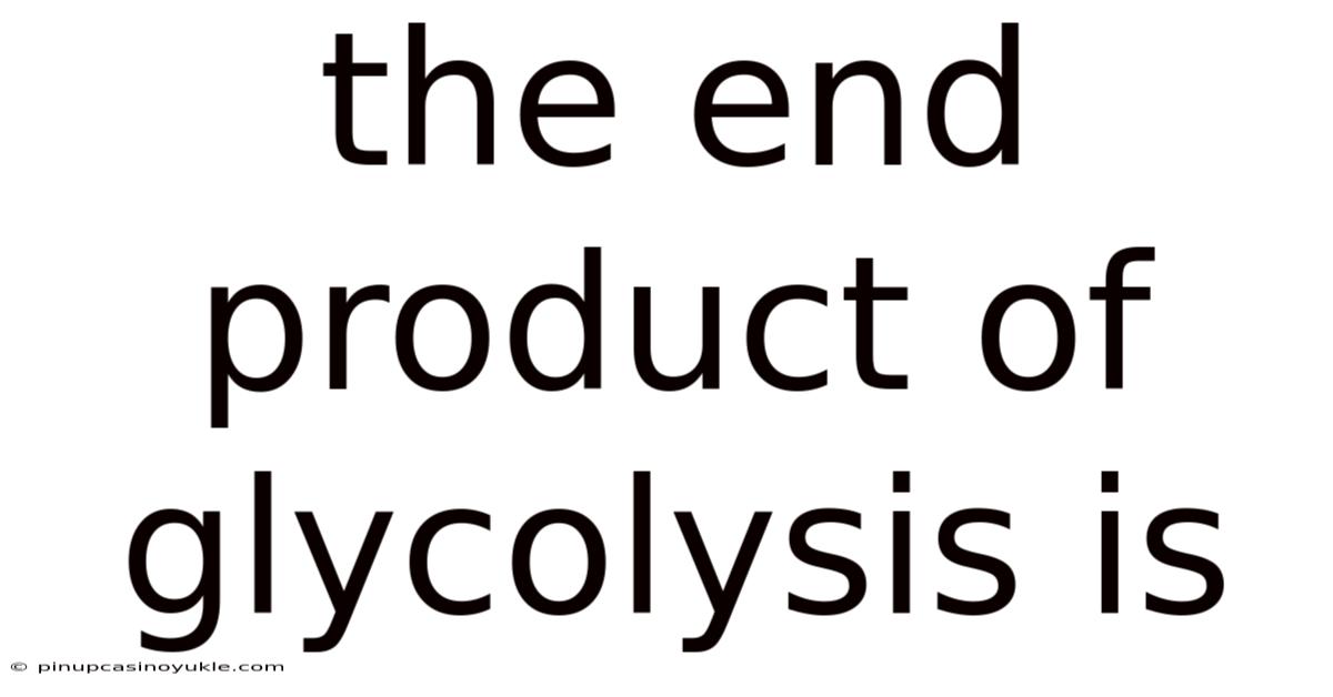 The End Product Of Glycolysis Is