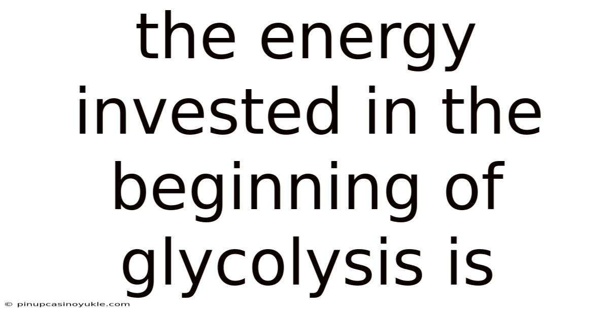 The Energy Invested In The Beginning Of Glycolysis Is