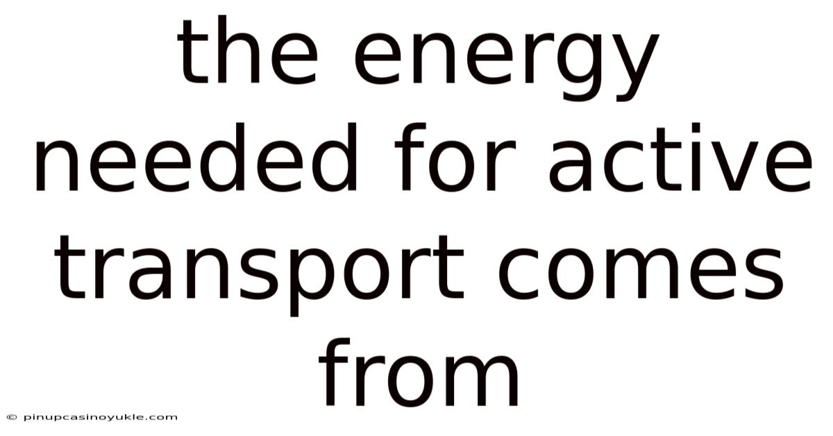 The Energy Needed For Active Transport Comes From