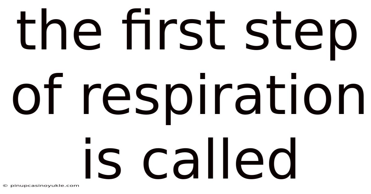 The First Step Of Respiration Is Called