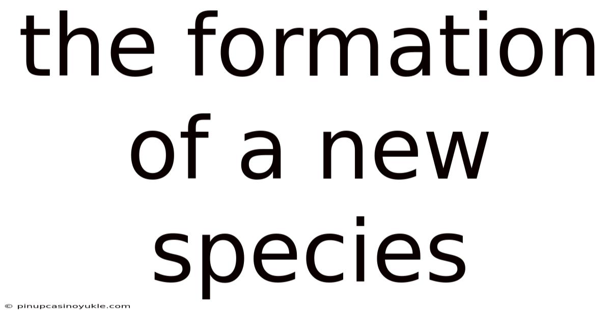 The Formation Of A New Species
