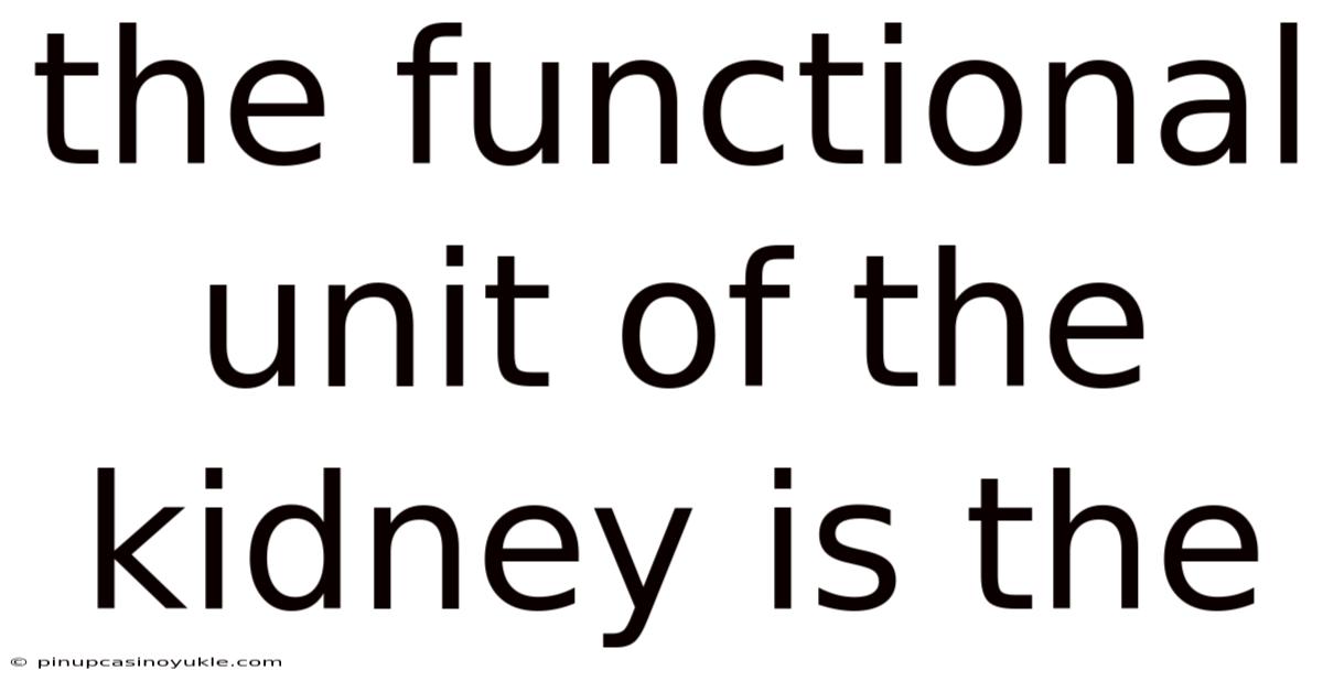 The Functional Unit Of The Kidney Is The