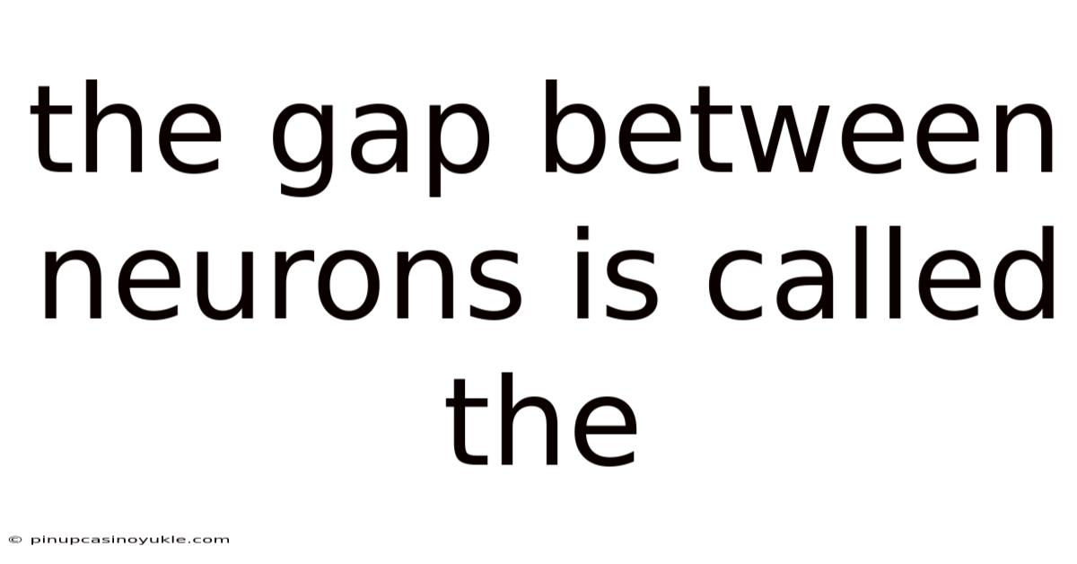 The Gap Between Neurons Is Called The