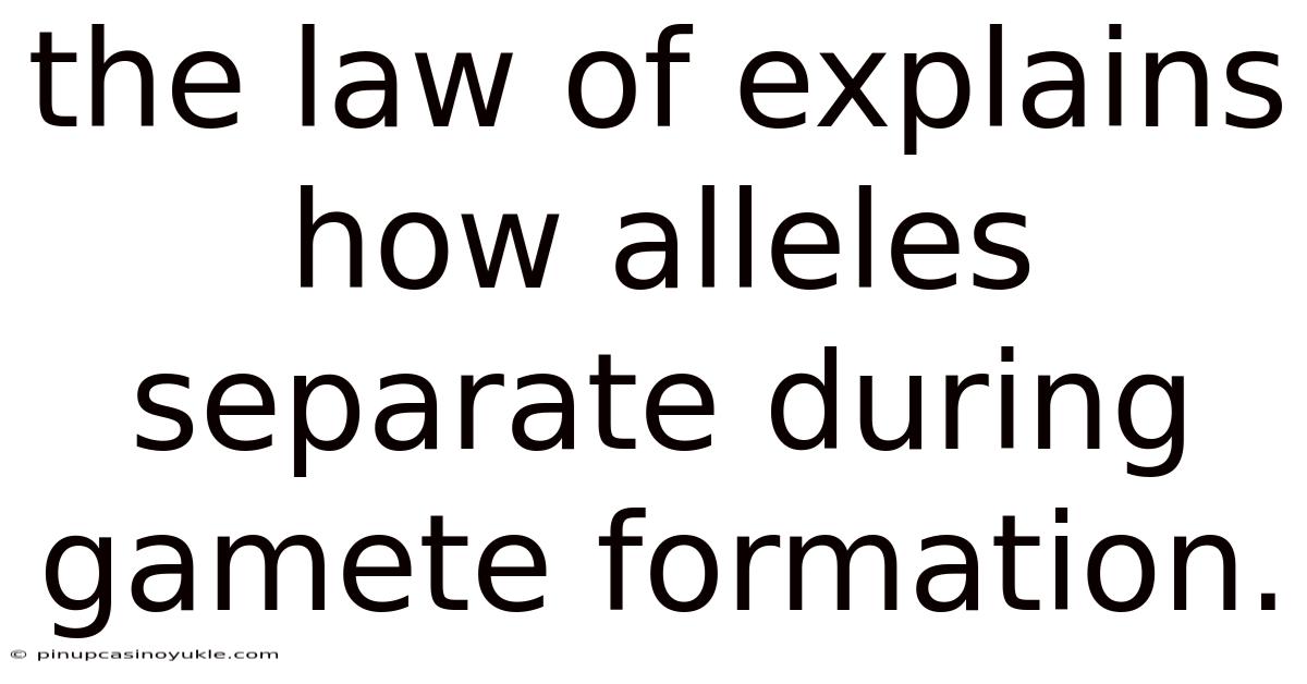 The Law Of Explains How Alleles Separate During Gamete Formation.