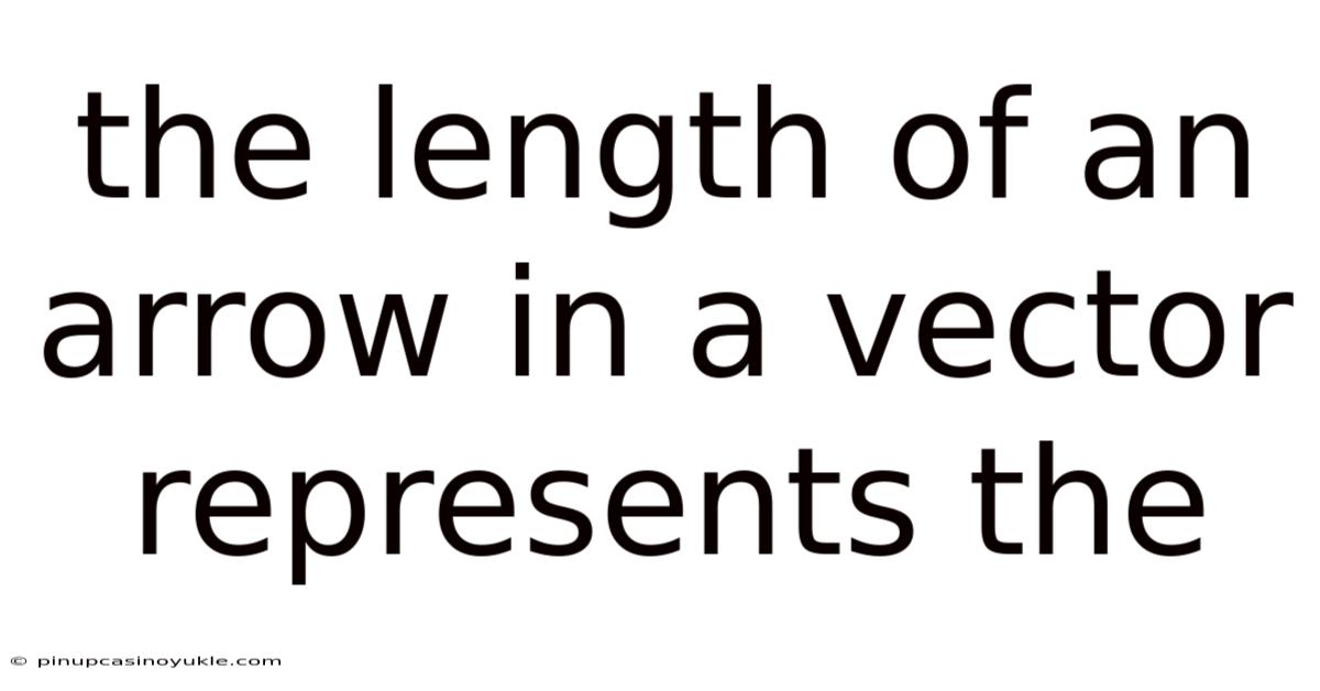 The Length Of An Arrow In A Vector Represents The