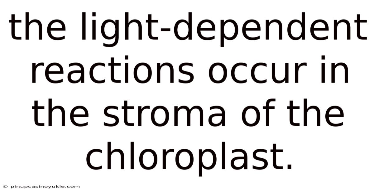 The Light-dependent Reactions Occur In The Stroma Of The Chloroplast.