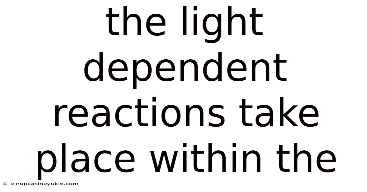 The Light Dependent Reactions Take Place Within The