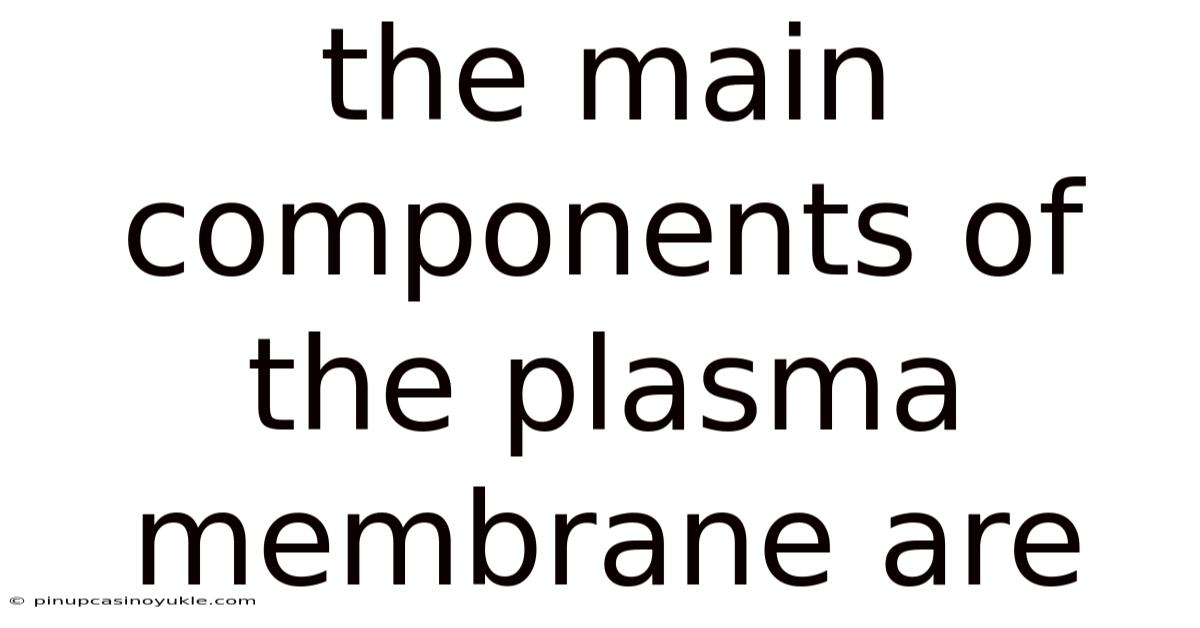 The Main Components Of The Plasma Membrane Are